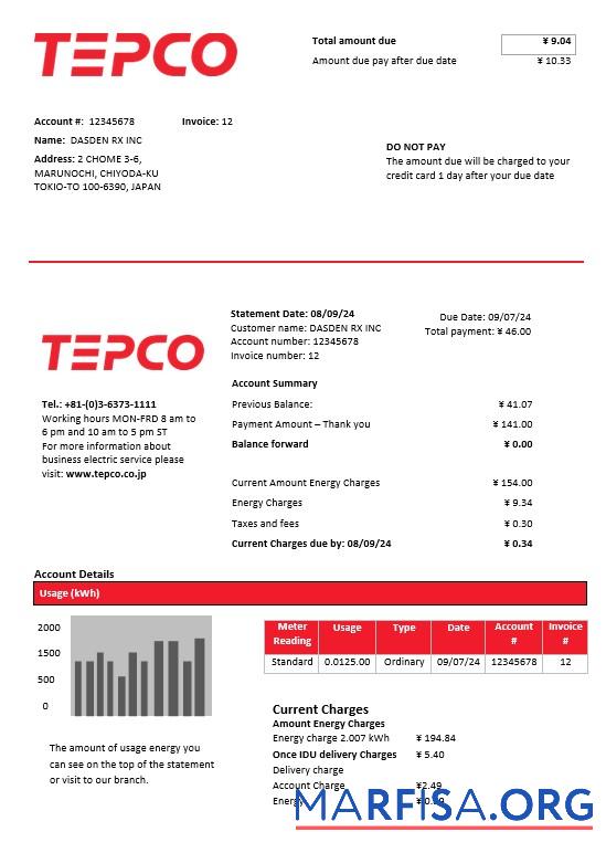 Printable Japan Tokyo Electric Power Company electricity business utility bill template in Word and PDF format